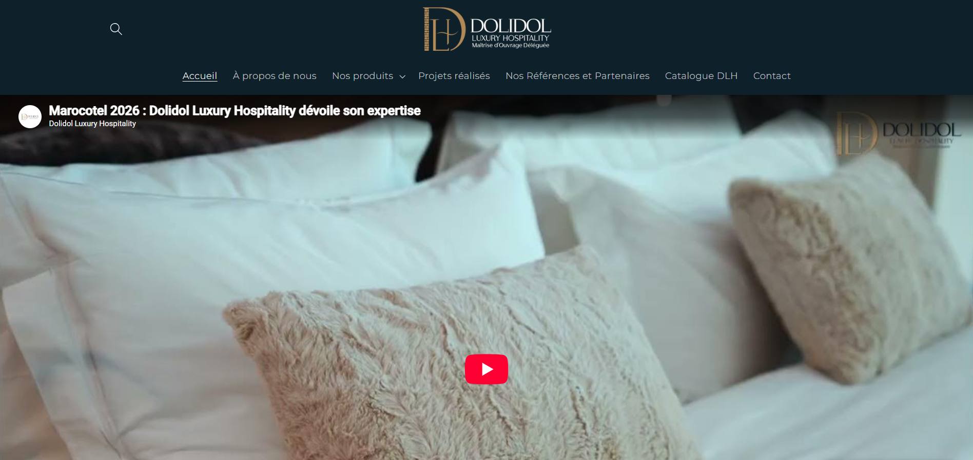 Capture du site DLH